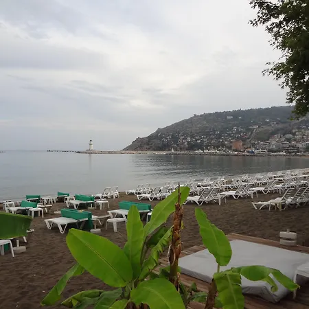 & 2* Alanya