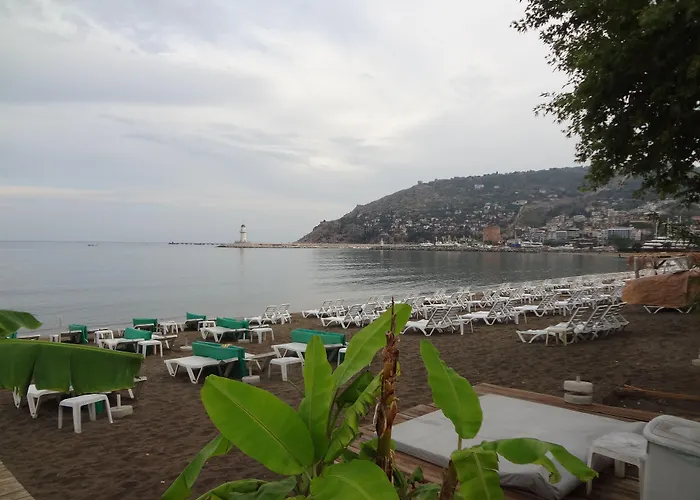 & 2* Alanya